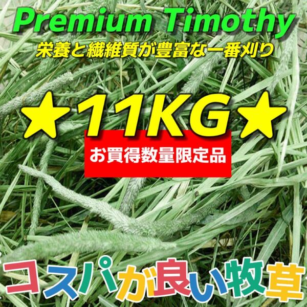 ★お買得&数量限定品★チモシー11kg ★プレミアム 一番刈り うさぎ チンチラ デグー 小動物 ペットフード 牧草 おやつ