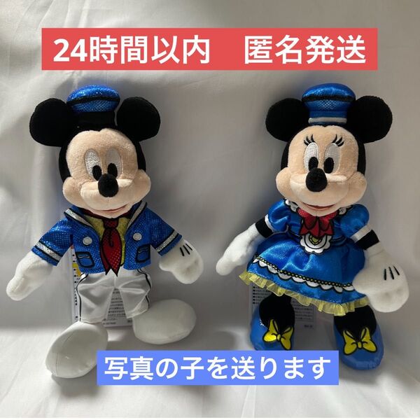 ディズニー・パルパルーザ ドナルドのクワッキー・ダック!ダック!ダックシティ!ぬいぐるみバッジ(ミッキー&ミニー)