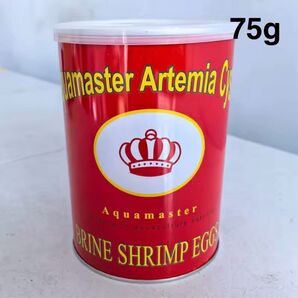 ブラインシュリンプ75gチベット産