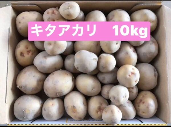 新じゃがいもキタアカリ10kg コロコロサイズ 徳島県産 ゆうパック