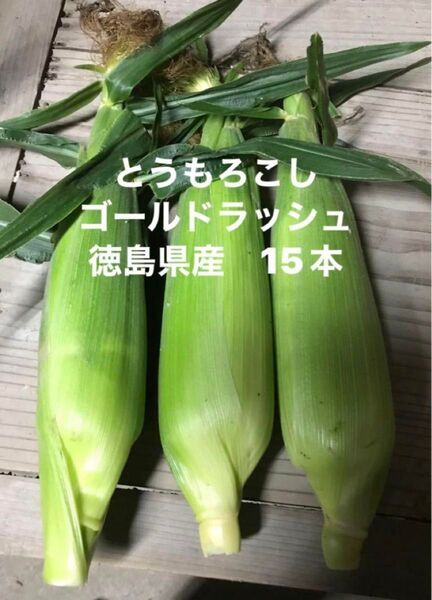 とうもろこし ゴールドラッシュM サイズ15本 規格外徳島産朝彩り22日発送のみ