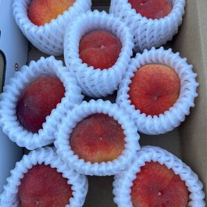 【希少桃★ひめこなつ】約800g ご家庭用 3,300円 個数変動有 送料込