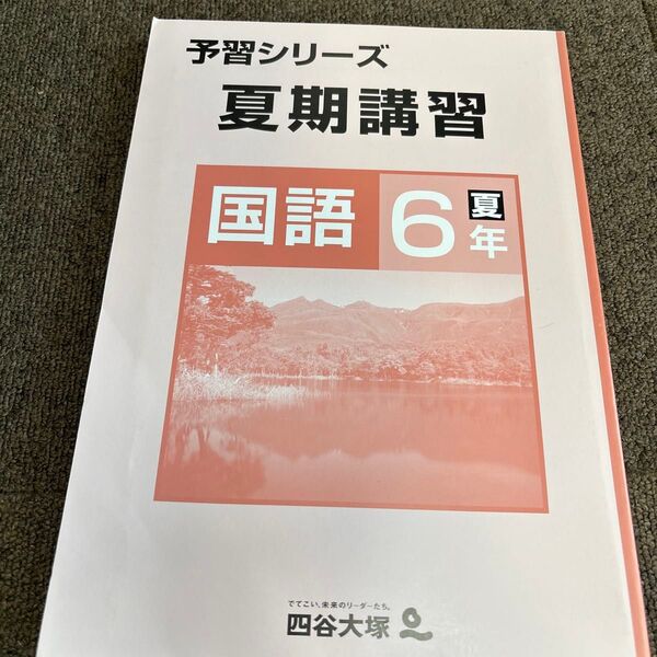 夏期講習 予習シリーズ 国語