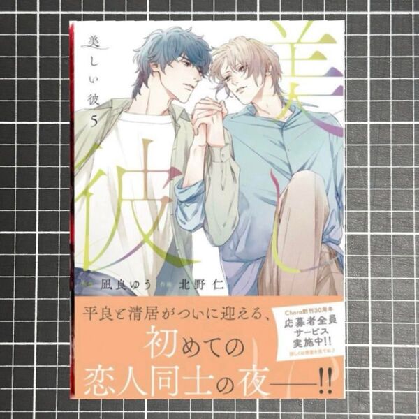 『美しい彼 5』著者 :北野仁 凪良ゆう
