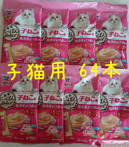 銀のスプーン 三ツ星グルメ 子ねこ用 とろリッチ 総合栄養食 8袋 ★子猫おやつ