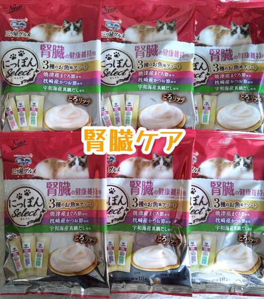 銀のスプ三ツ星グルメとろリッチ腎臓の健康維持用 6袋★猫おやつ