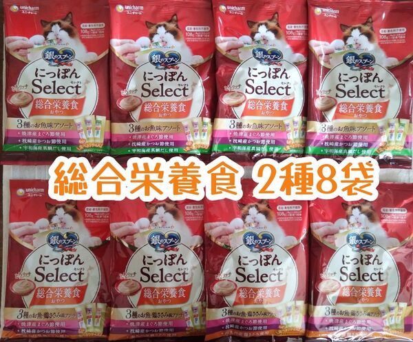 銀のスプーン三ツ星グルメ 総合栄養食 2種 計8袋★猫のおやつ