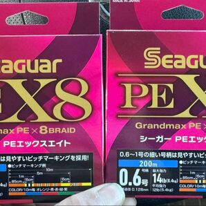 シーガー PE X8 0.6号200m 2ヶセット