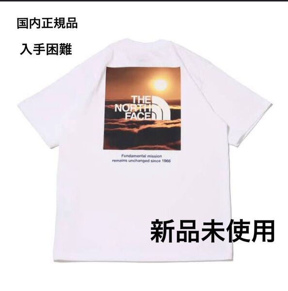 ザ ノースフェイス Tシャツ 半袖 THE NORTH FACE メンズ ロゴ バックプリント tee 新作 吸汗速乾 オシャレ