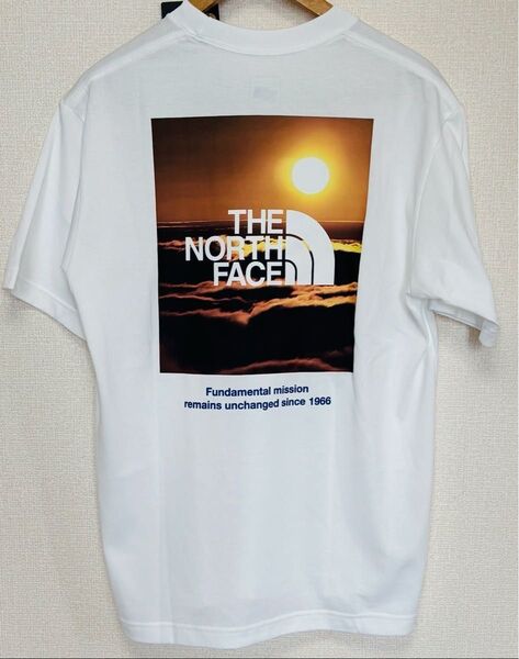 ザ ノースフェイス Tシャツ 半袖 THE NORTH FACE メンズ ロゴ バックプリント tee 新作 吸汗速乾 オシャレ
