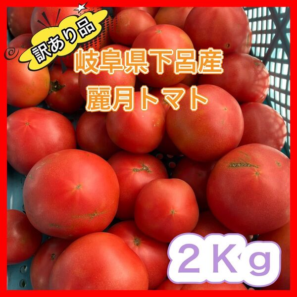 【規格外品】農家直送 大玉トマト 麗月 2Kg 訳あり 飛騨トマト