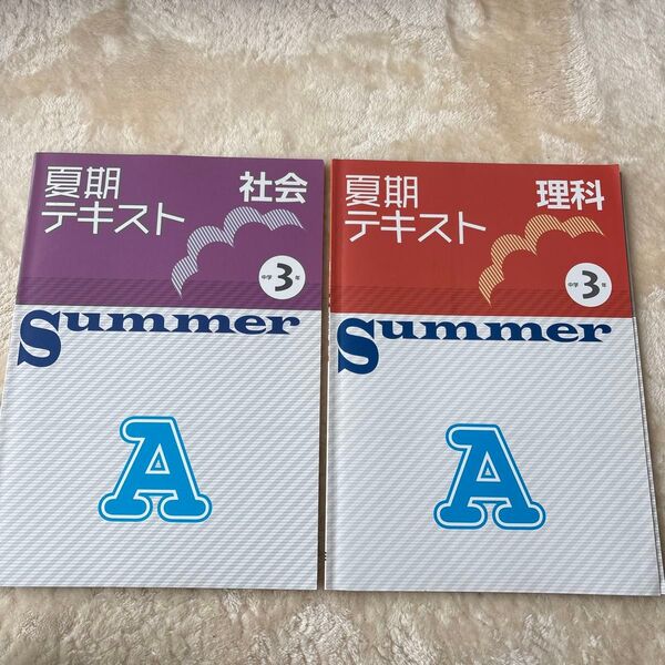 中3 基礎レベル 夏期テキスト 理科 社会 2冊セット 塾教材 中学3年
