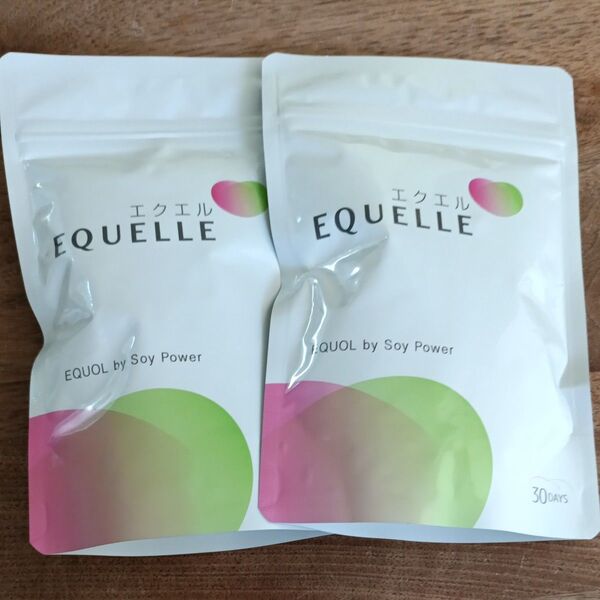 EQUELLE エクエル 大塚製薬 エクエル パウチ120粒2袋