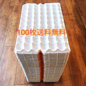 卵パック 卵トレー 紙 100枚