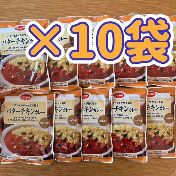 バターチキンカレー レトルトカレー レトルト食品10食 レトルト食品 キャンプ飯 非常食 保存食 お弁当 ピクニック