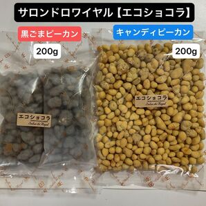 サロンドロワイヤル【エコショコラ】●キャンディピーカン 1袋 ●黒ごまピーカンナッツ 1袋 ピーカンナッツチョコレート