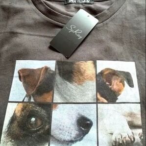 SPRAY PREMIUM dog Tシャツ