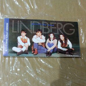 胸さわぎの After School/Be My Valentine/LINDBERG