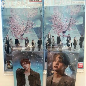 &TEAM ツインウエハースシール EJ・NICHOLAS コンイズ 雪明かり 外袋2枚付(外袋は他の五月雨、青嵐に変更可能です)