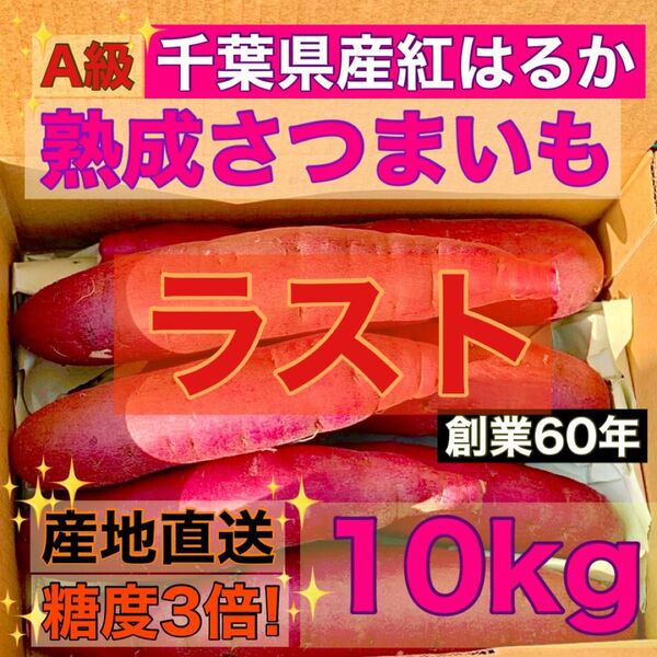 【熟成】さつまいも "A級" 紅はるか 千葉県産 サイズミックス 10kg 土付き
