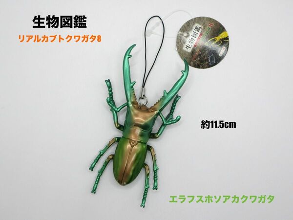 生物図鑑 リアルカブトクワガタ8 エラフスホソアカクワガタ ストラップ キーホルダー 約11.5cm アミューズメント専用景品