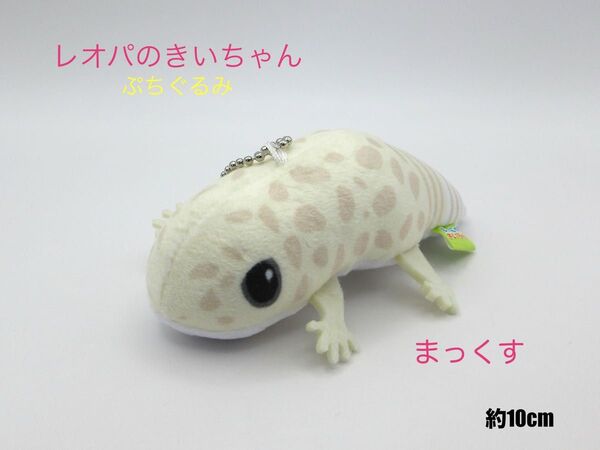 レオパのきいちゃん ぷちぐるみ まっくす 約10cm ボールチェーン付き