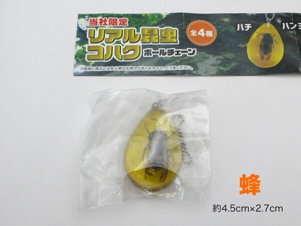 リアル 昆虫 コハク ボールチェーン ハチ 蜂 キーホルダー 約4.5cm×2.7cm