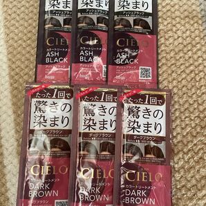 hoyu CIELO カラートリートメント アッシュブラック ダークブラウン 6個 まとめ売り