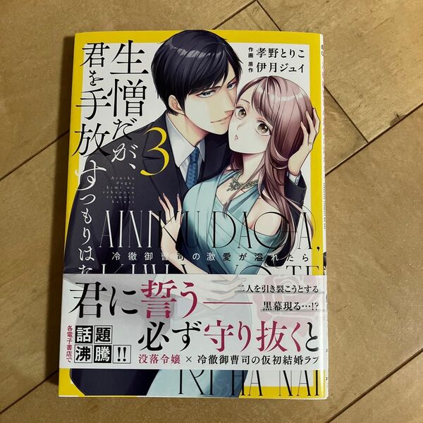 生憎だが、君を手放すつもりはない 冷徹御曹司の激愛が溢れたら 3 (Berry’s COMICS こ2-12) 孝野とりこ/