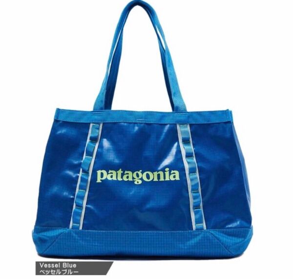新品未使用 patagonia パタゴニア ライトウェイト・トラベル・トート・パック 22L 【入手困難品】