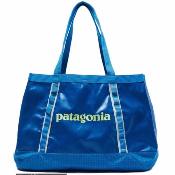 新品未使用 patagonia パタゴニア ライトウェイト・トラベル・トート・パック 22L 【入手困難品】