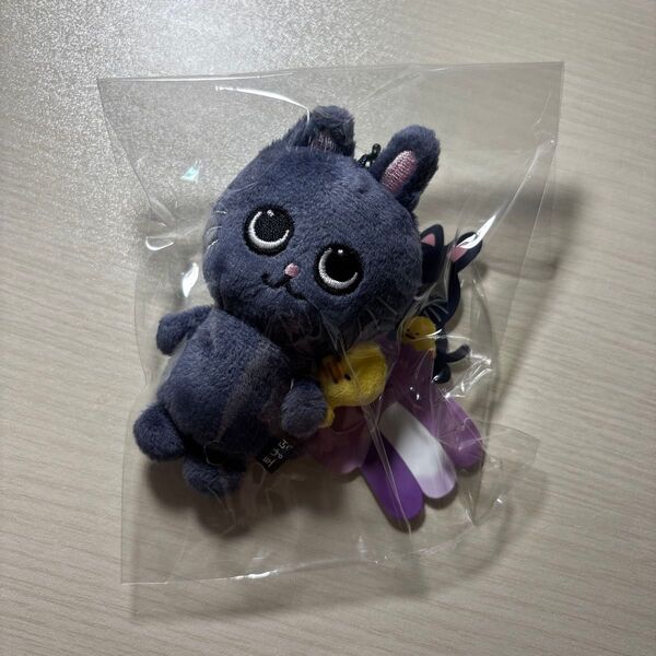 RIIZE ライズ ウォンビン ぬいぐるみ トニャンドク we little riize popup ポップアップ