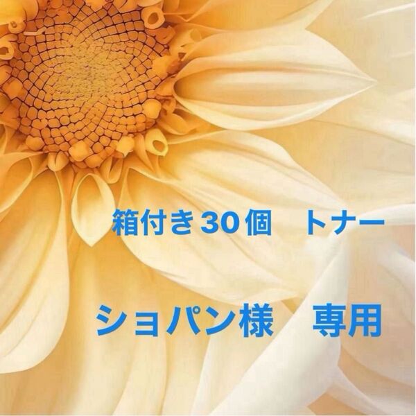 箱付きトナー30個 バルクオムセット