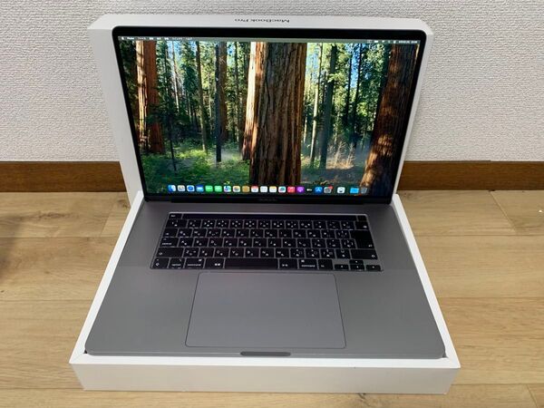 Apple MacBook Pro Core i7 A2141 16インチ