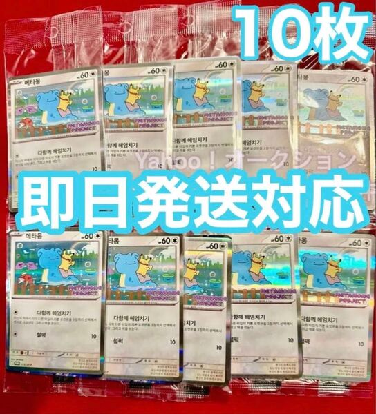 韓国限定 イベント配布 ポケモンタウン2025 メタモン プロモカード 10枚 未開封 ラプラス ピカチュウ ポケモン ⑥