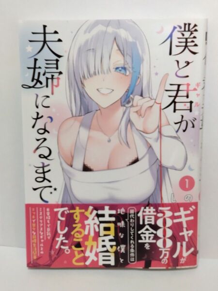 僕と君が夫婦になるまで 1巻 初版