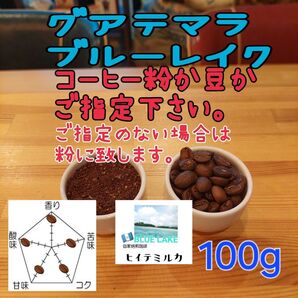 コーヒー粉orコーヒー豆100g ブルーレイク