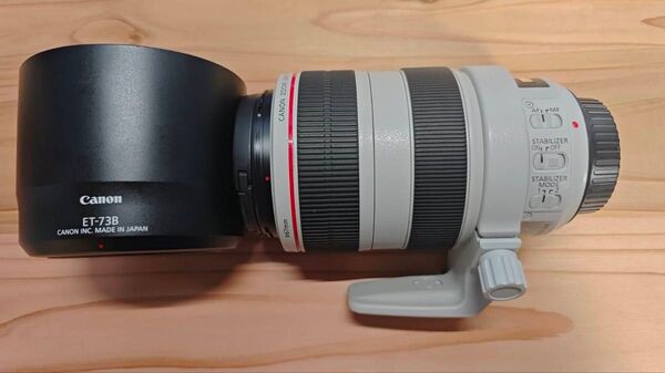EF 70-300mm f/4-5.6 L IS USMEF