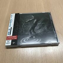 CD　レニー・クラヴィツ「サーカス」　日本盤_画像1