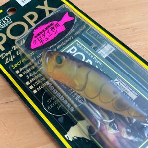 新品 Megabass メガバス POPX SW ポップX KURODAI Limited クロダイ 限定 MAT SHRIMP