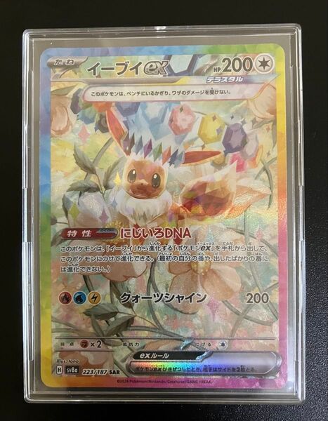 【即発送】ポケモンカードゲーム テラスタルフェス収録 イーブイex SAR sv8a 223/187 ブラッキー 自引き品