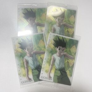 HUNTER × HUNTER ハンターハンター イタジャガ ゴン