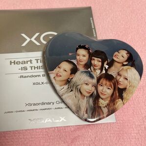XG 缶バッジ IS THIS LOVE 全員 集合 オールメンバー