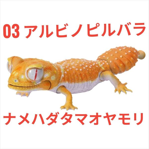 いきもの大図鑑レプティ ナメハダタマオヤモリとレオパードゲッコー 03アルビノピルバラナメハダタマオヤモリ