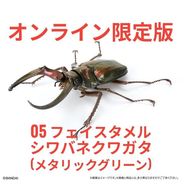 ガシャポンオンライン限定版 いきもの大図鑑 くわがた10 樹皮台座(小)セット 05フェイスタメルシワバネクワガタ(グリーン)