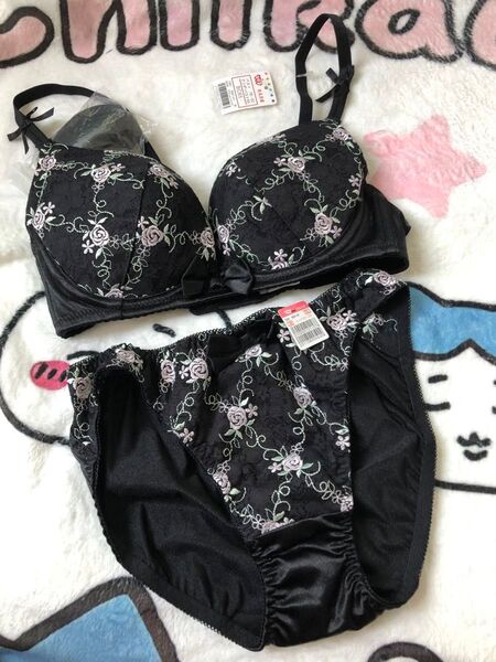 023 エメフィール aimerfeel ブラジャーショーツ セット 廃盤品