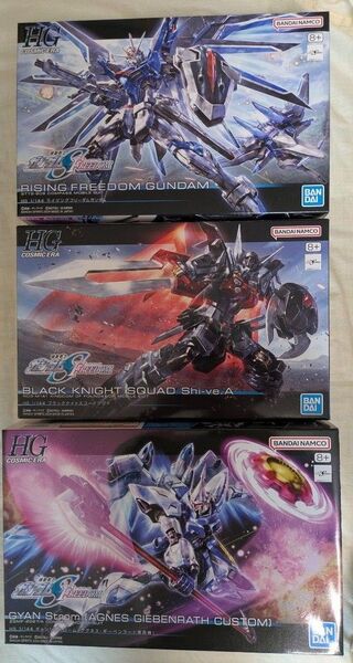 HGライジングフリーダムガンダム ブラックナイトスコードシヴァ ギャンシュトローム(アグネス・ギーベンラート専用機)