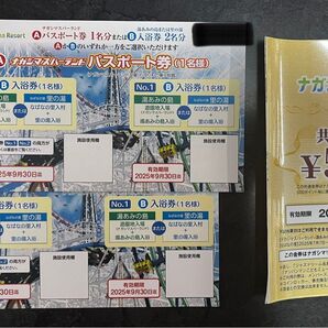 ナガシマリゾート パスポート券 2枚 おまけ付