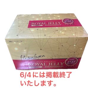 ローヤルゼリー4000SBWP プラズマローゲン180包 賞味期限2026年2月15日