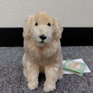 【ほっこりゴールデンレトリバー】金太郎ぬいぐるみ ST